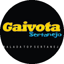 Gaivota Sertanejo e Eventos / Guarulhos - SP